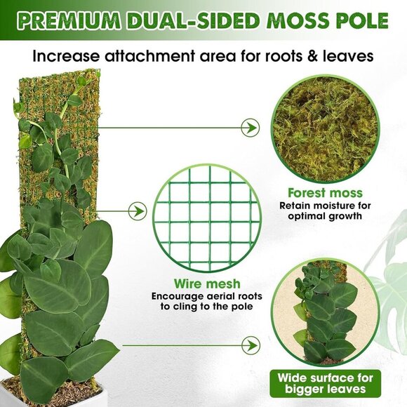 Flat Mesh Moss Poles for Climbing Plants Monstera Stackable Moss Pole for Plants - Picture 3 of 7